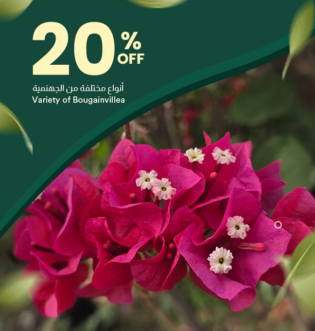 Popup Image