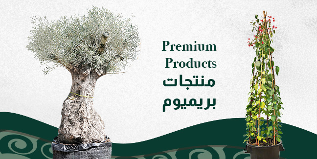 offer product