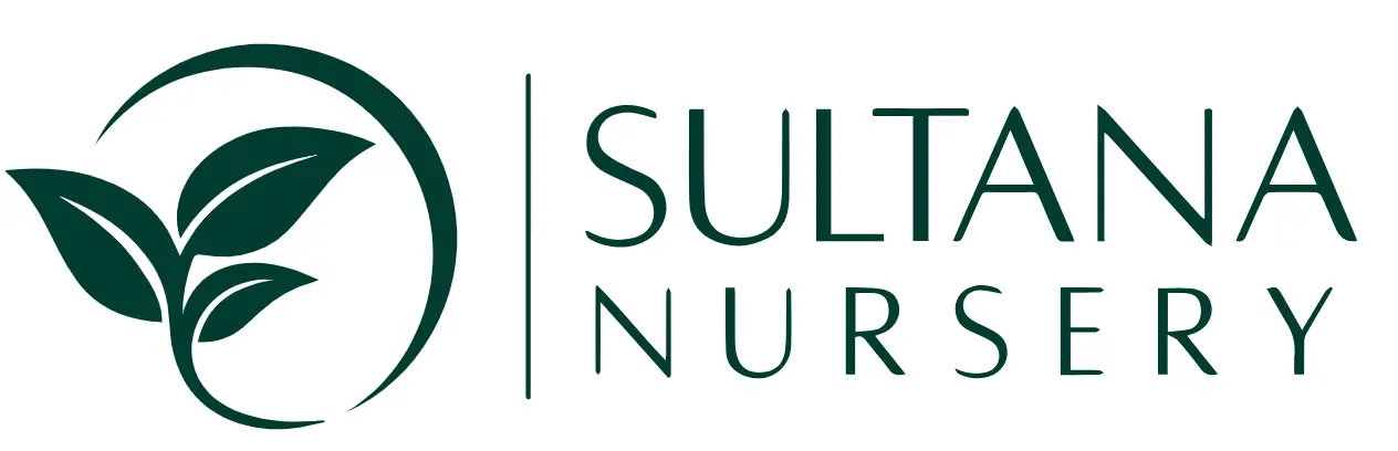 Sultana Nursery